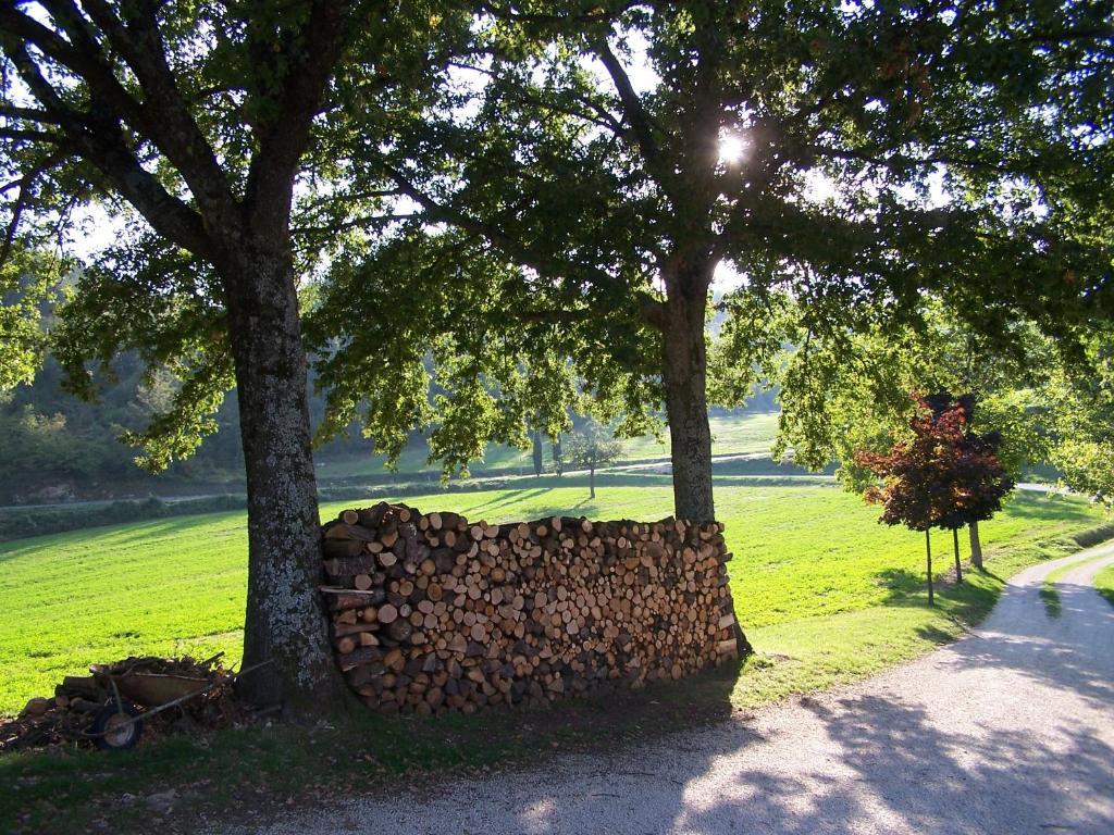 Villa Agriturismo Fontandrone Pieve Santo Stefano Exterior foto
